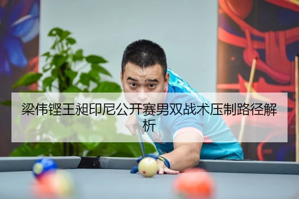 liang-wei-keng-wang-chang-yin-ni-gong-kai-sai-nan-shuang-zhan-shu-ya-zhi-lu-jing-jie-xi-3-259.jpg